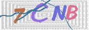 Immagine CAPTCHA (verifica)