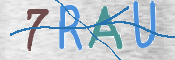 Immagine CAPTCHA (verifica)