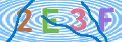 Immagine CAPTCHA (verifica)