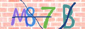Immagine CAPTCHA (verifica)