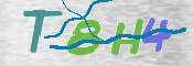 Immagine CAPTCHA (verifica)