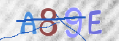 Immagine CAPTCHA (verifica)
