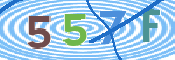 Immagine CAPTCHA (verifica)