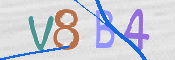 Immagine CAPTCHA (verifica)