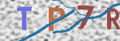 Immagine CAPTCHA (verifica)