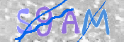 Immagine CAPTCHA (verifica)