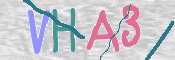 Immagine CAPTCHA (verifica)
