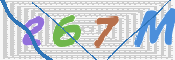 Immagine CAPTCHA (verifica)