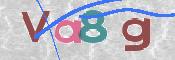 Immagine CAPTCHA (verifica)