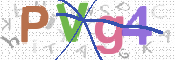 Immagine CAPTCHA (verifica)