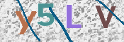 Immagine CAPTCHA (verifica)