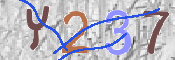 Immagine CAPTCHA (verifica)