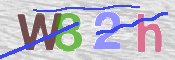 Immagine CAPTCHA (verifica)