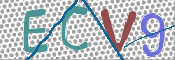 Immagine CAPTCHA (verifica)