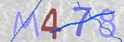 Immagine CAPTCHA (verifica)