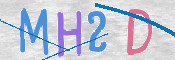 Immagine CAPTCHA (verifica)