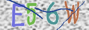 Immagine CAPTCHA (verifica)