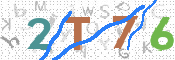 Immagine CAPTCHA (verifica)