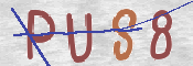 Immagine CAPTCHA (verifica)
