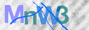 Immagine CAPTCHA (verifica)