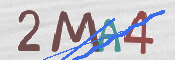 Immagine CAPTCHA (verifica)